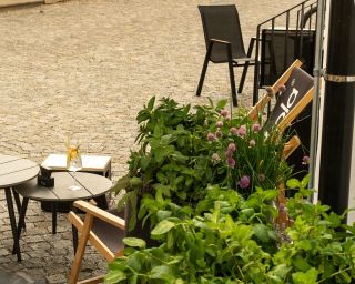 Taková ta maličkost, co ti udělá den. Díky městu a šikulům z městskýho zahradnictví máme před kavárnou parádní letní...